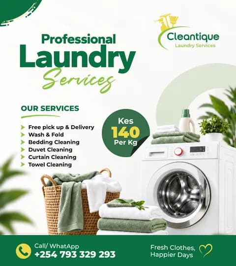 Professional laundry services poster