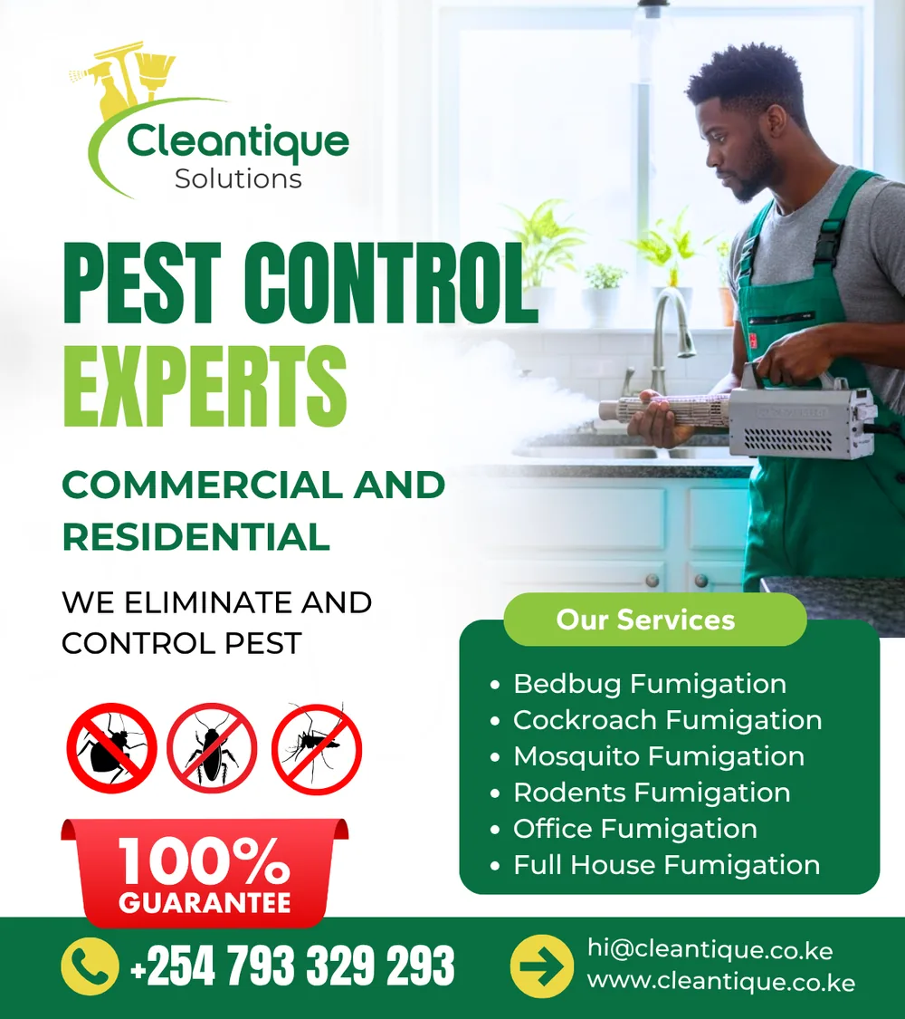 Cleantique pest control experts social media poster