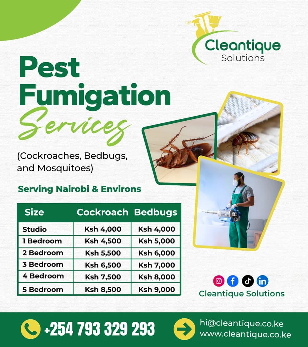 Cleantique pest fumigation services advert with prices, designed by Bravura