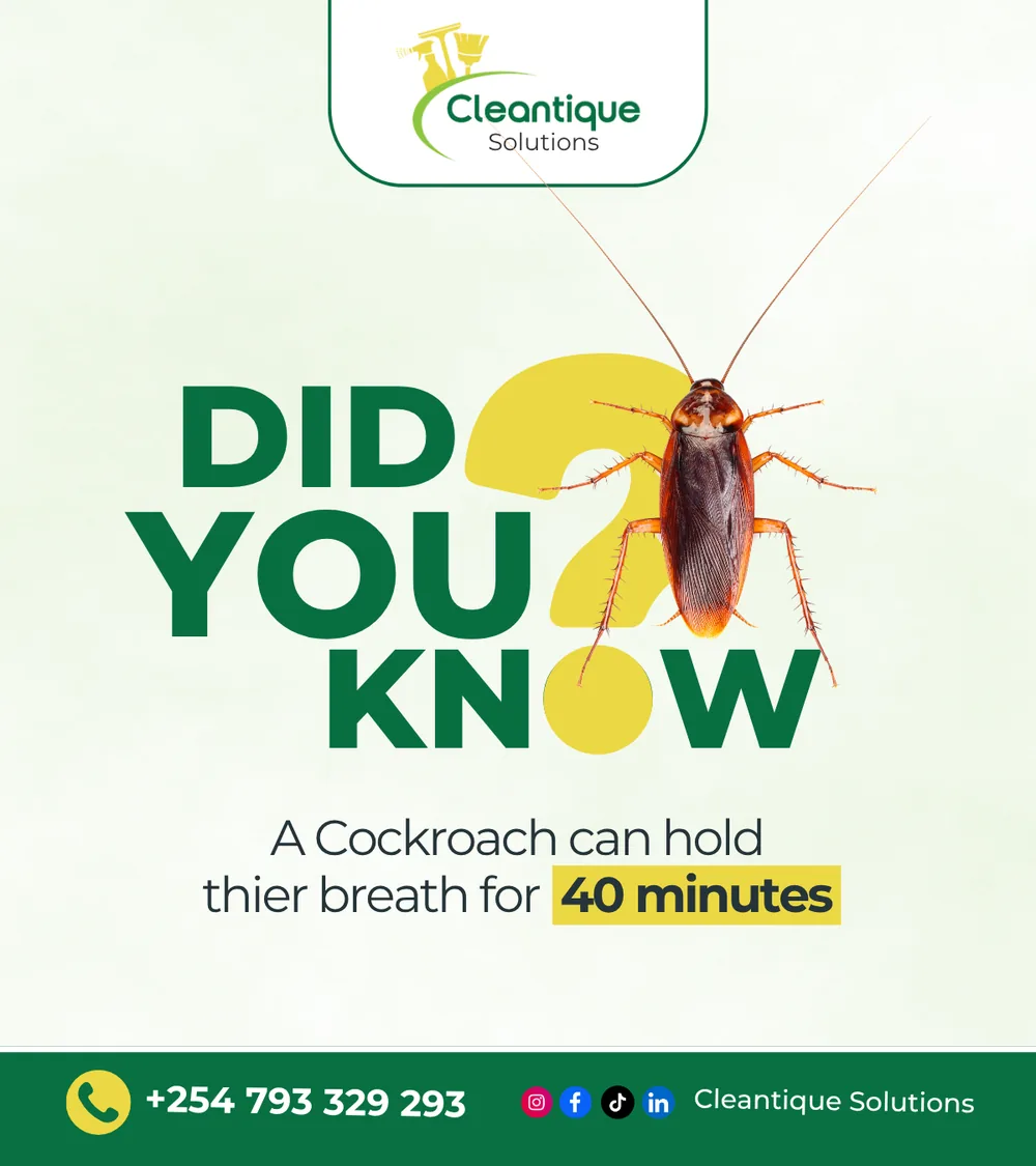 Did you know? Cockroach fact post